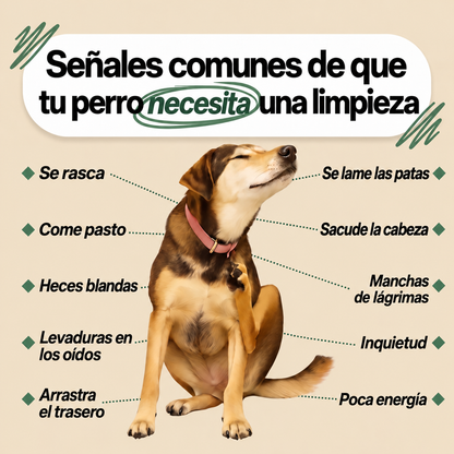 Mejoría de los síntomas en 2 semanas