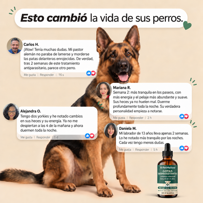Mejoría de los síntomas en 2 semanas