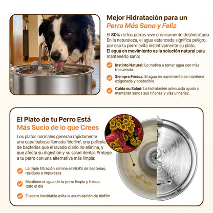 Merrow Fuente de Agua de Acero Inoxidable para Perros